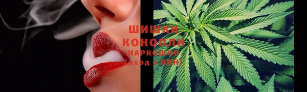шишки Аркадак