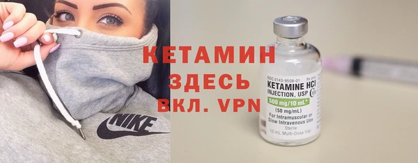 шишки Аркадак