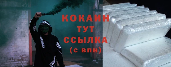 шишки Аркадак