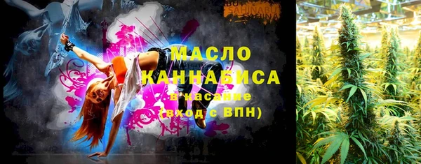 шишки Аркадак