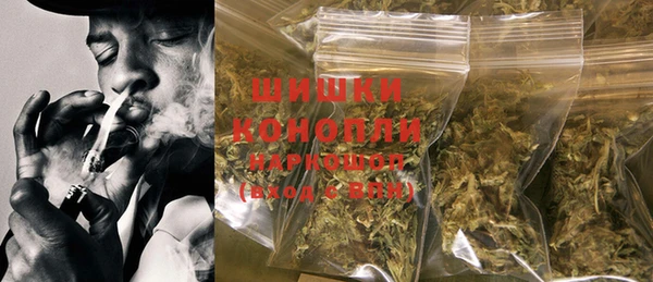 шишки Аркадак