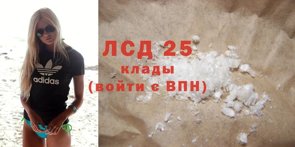 шишки Аркадак