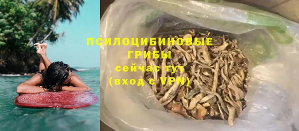 шишки Аркадак