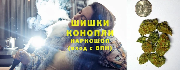 шишки Аркадак