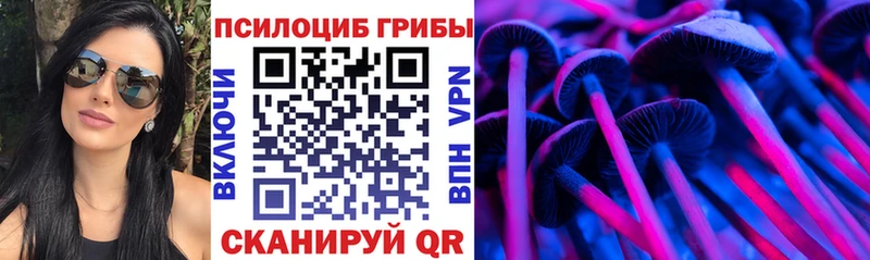 Галлюциногенные грибы Magic Shrooms Хотьково
